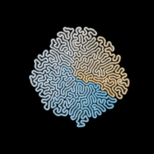 Differential Growth — Differential growth: a closed curve feeds, stretches and folds onto itself under cohesion and repulsion forces. Node after node, coral-like lace emerges — the same morphogenesis that shapes living tissue.