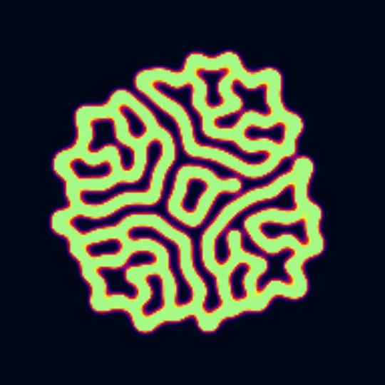 Reaction-Diffusion — Gray-Scott reaction-diffusion: two chemical species U and V that interact to grow spots, mazes, coral and waves, the Turing patterns of 1952.